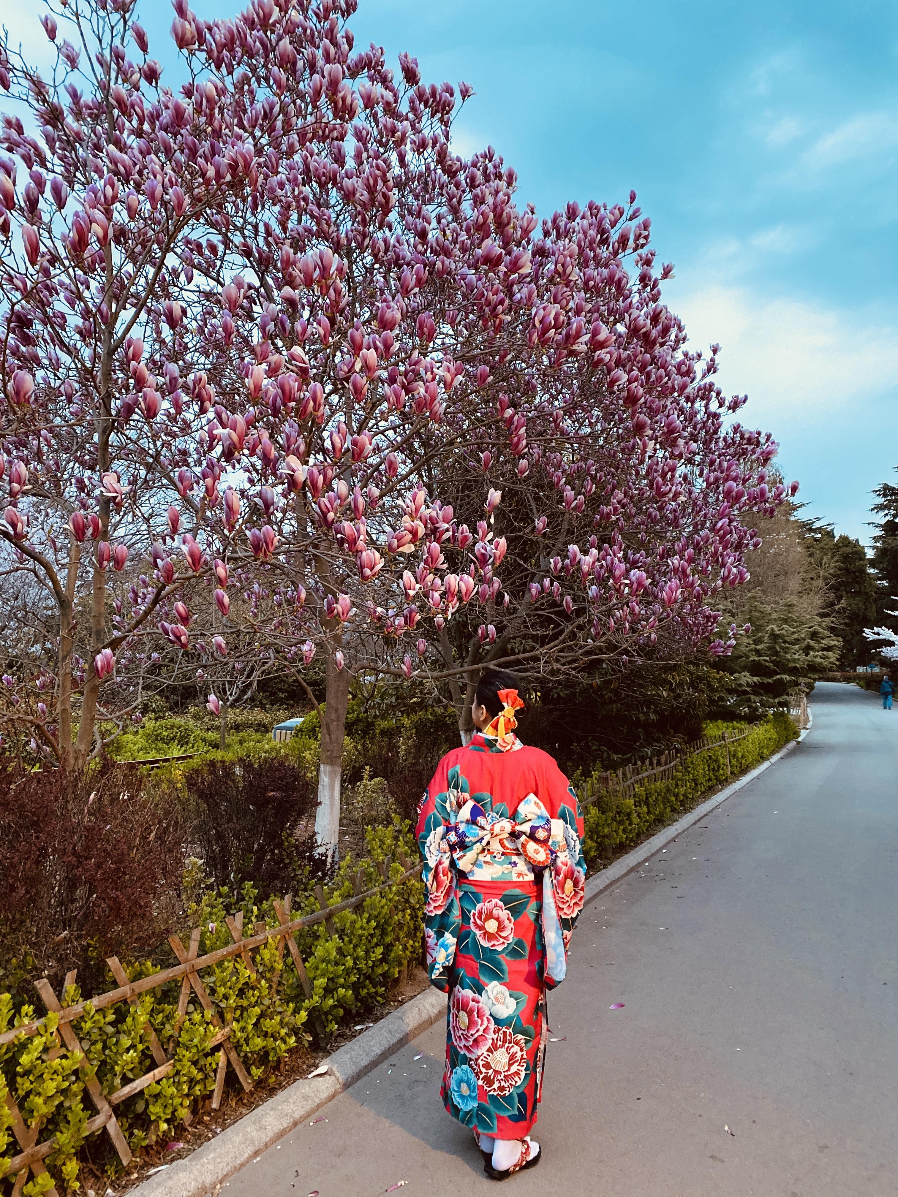 哪款手机拍照微距最好 v2-eaf7c8893c909dfff7476591ad44e750_r.jpg