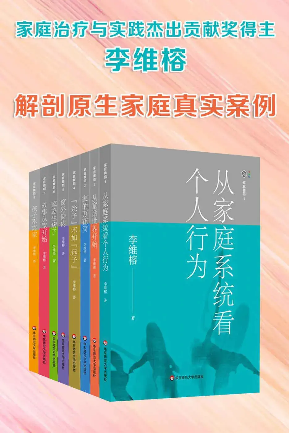 推荐李维榕家庭心理治疗系列解剖原生家庭真实案例全9册