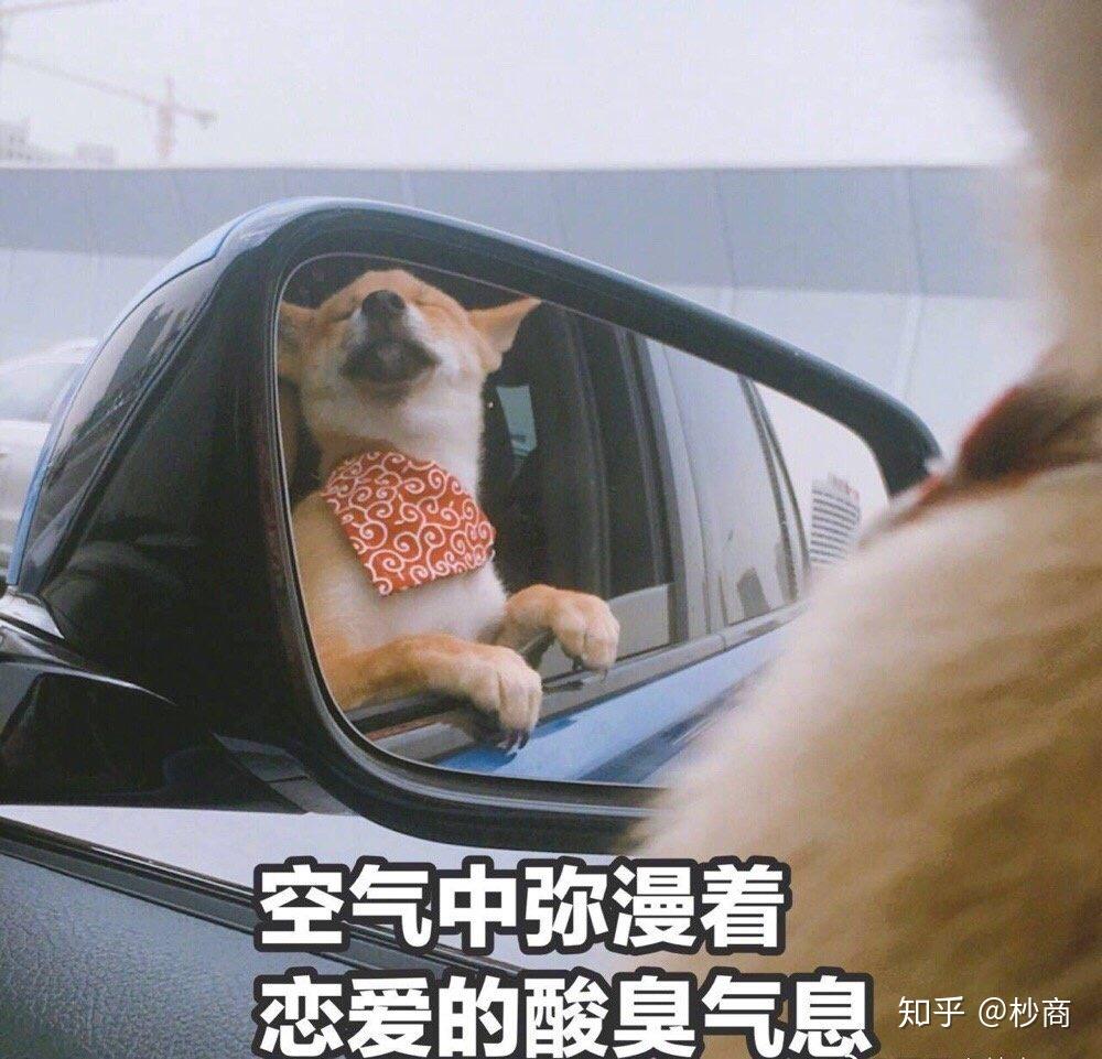 母胎单身三十年是什么感觉