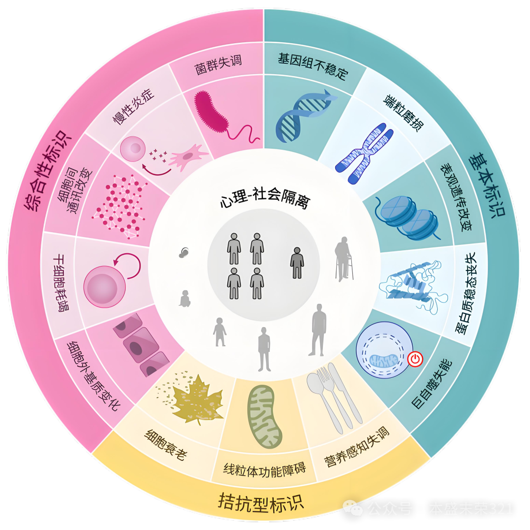 2025版十四大衰老标志，从老年科学到精确老年医学：理解和管理衰老 - 知乎