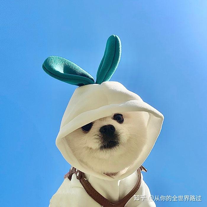 有没有一眼就很舒适的微信头像