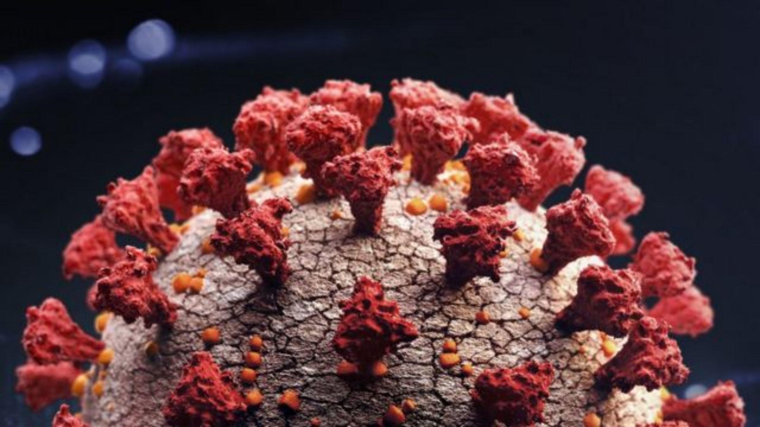 新冠疫情:"delta "病毒变种传染性可能更高