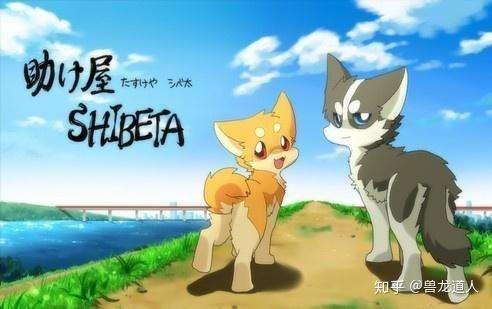 第五章 中国兽圈的文化建设 - 知乎