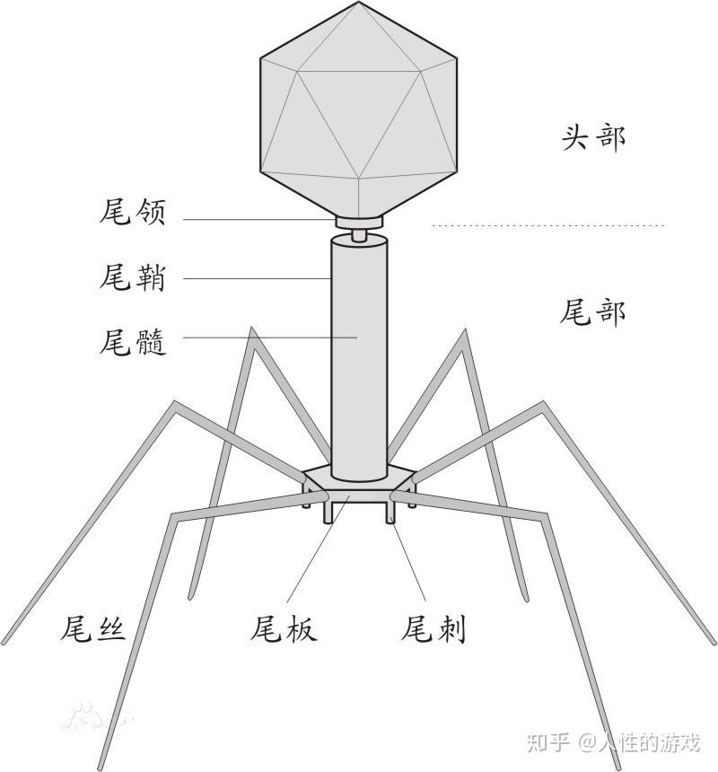 v2-eb4d2f08154648ac42d7af52acf2fd68_r.jpg