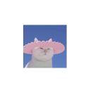 Zhihu profile picture for @muscled