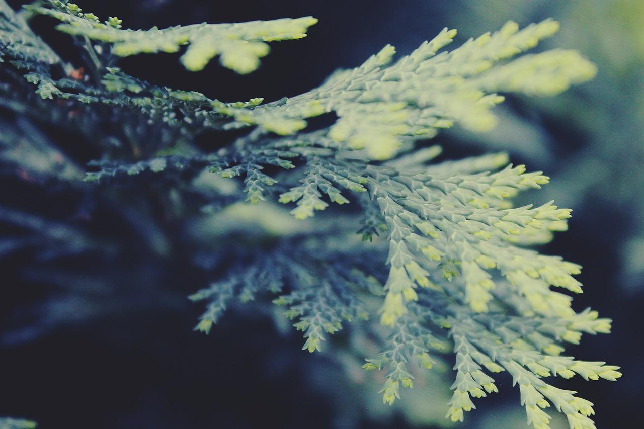 隔热窗帘安装指南