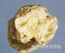 带你识别前胡 - 知乎