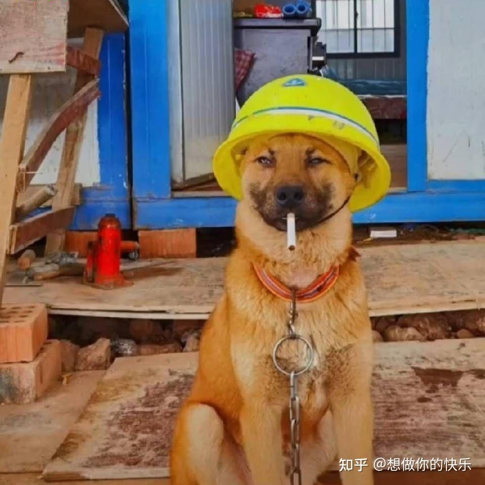 工程人用什么头像? - 知乎