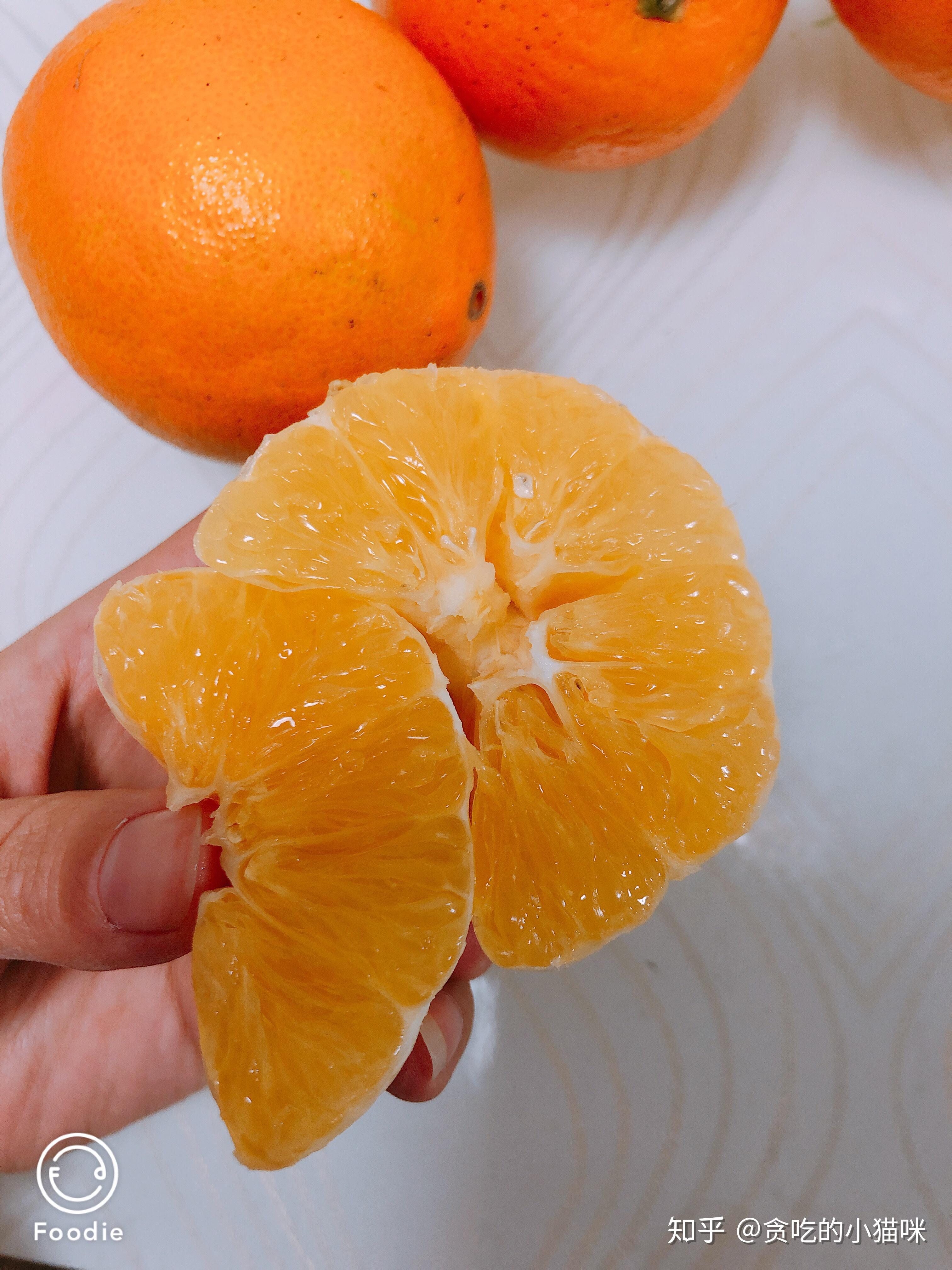 橙子分类大全及如何挑选 - 知乎
