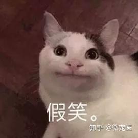 v2-eb6fa822d5ffe6ca999be31a86d05be4_b.jpg