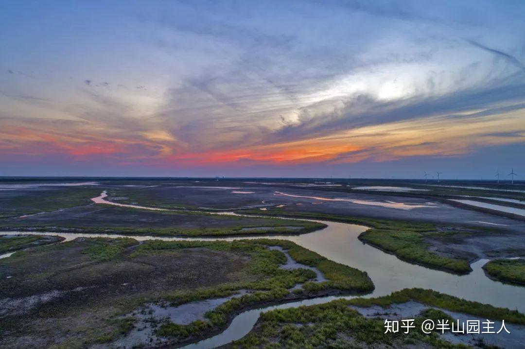 53南黃海輻射沙脊群丹頂鶴與麋鹿