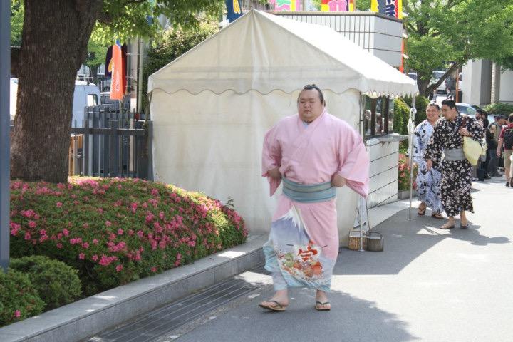 为何日本相扑选手普遍都是超级大胖子而没有肌肉猛男像wwe那种