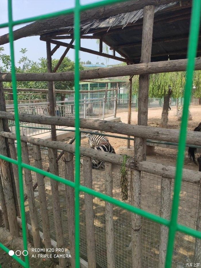 游五龙山野生动物园,博越值得带孩子一游