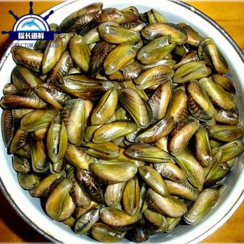 一吃就上瘾的金不换炒薄壳