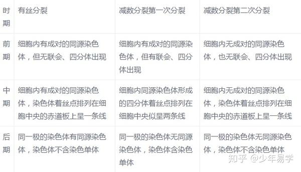 一文解决高考生物 有丝分裂 减数分裂 图像问题归纳整理 强烈建议收藏 知乎