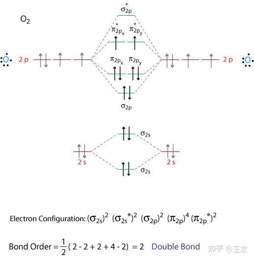 氧气的分子轨道结构图有没有大佬能看懂啊