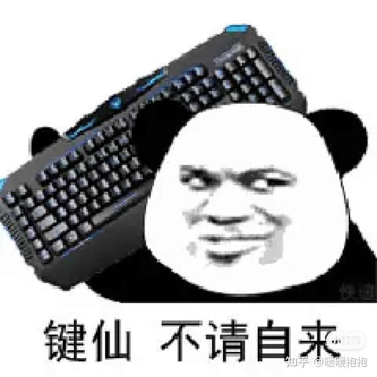 面对网络暴力时正确的做法是什么
