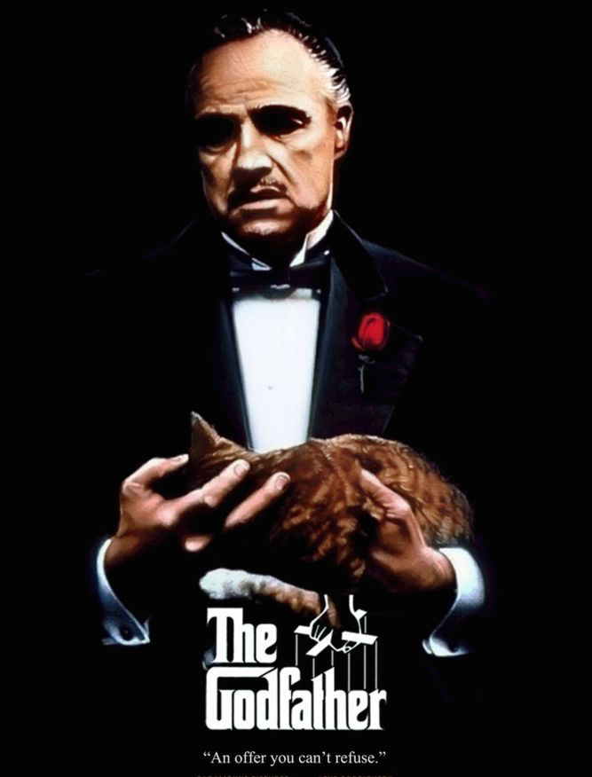 教父一边玩猫,一边听.电影《教父》是用这句话开头的.