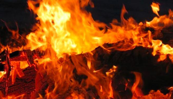 梦境中的权力与束缚,解析梦见养虎为患的深层含义 梦境中的权力与束缚,解析梦见养虎为患的深层含义