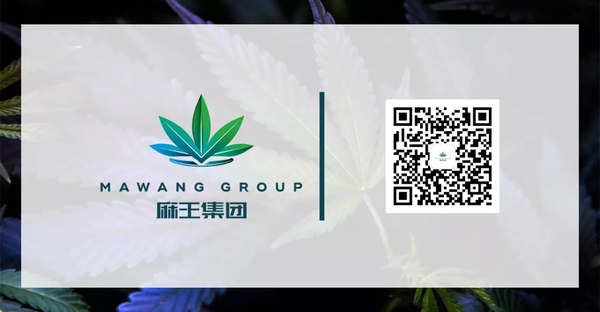 工业大麻到底是什么 知乎