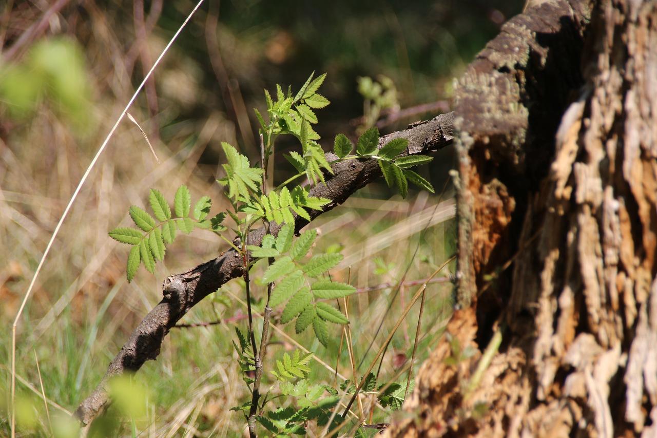 春鹃物业费明细