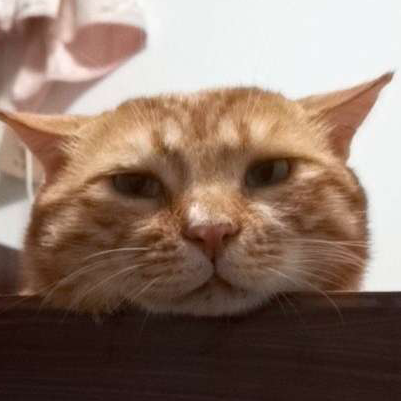外塔尼夜壶