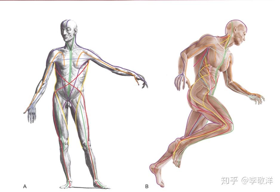 3.张拉整体结构