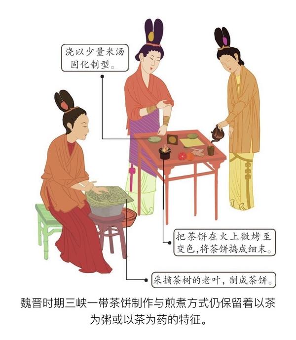 中国名茶品鉴全书 摘录 吃一盏莫问东西 知乎