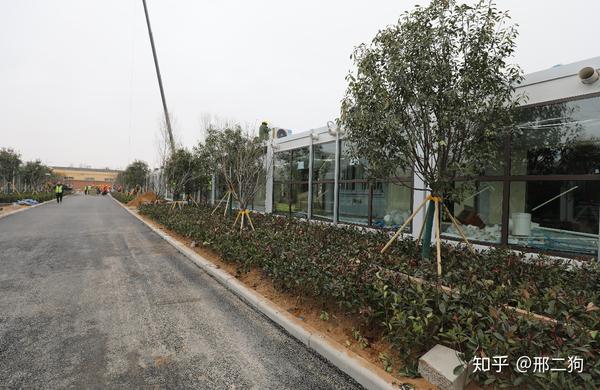 河南"小汤山"医院10天建成,多的是你不知道的事!