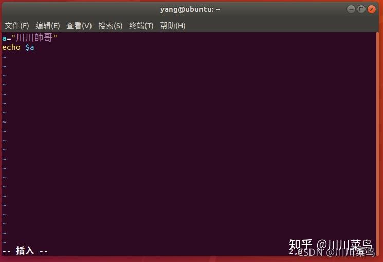 万字最全Linux Shell详细教程! - 知乎