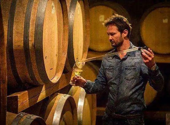 WSET—品酒师?侍酒师?傻傻分不清楚 - 知乎