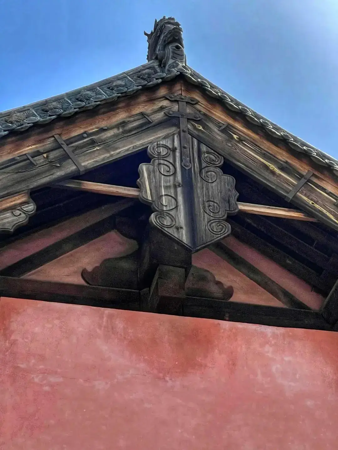 什么是悬鱼和惹草? - 知乎