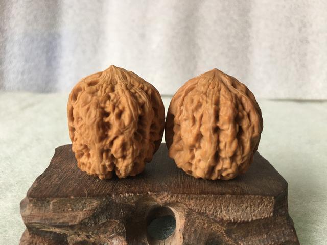 v2-ebf64a1ee29c0a4adcce1713ddef5326_1440w.jpg?source=172ae18b