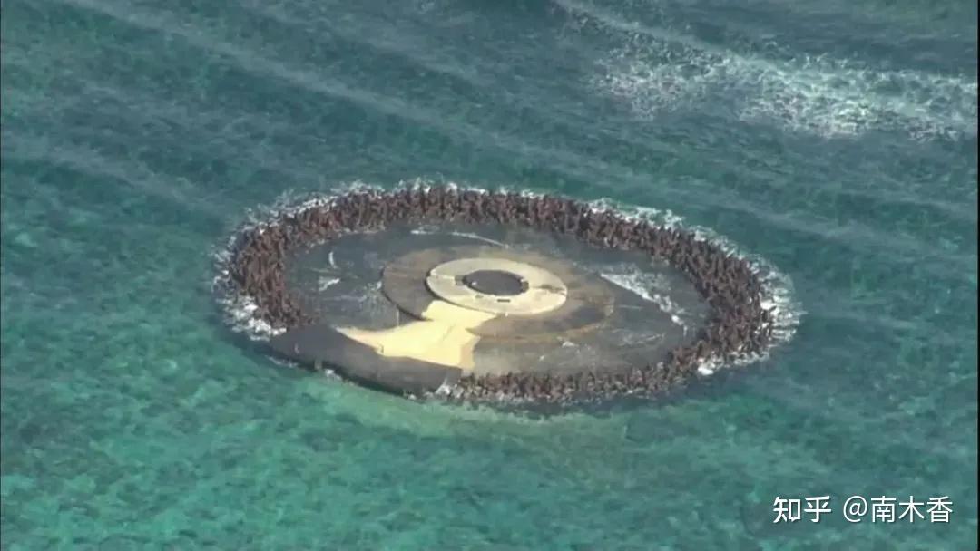 阳谋无解:大国在“冲之鸟礁”布局,又往里进了一步 - 知乎