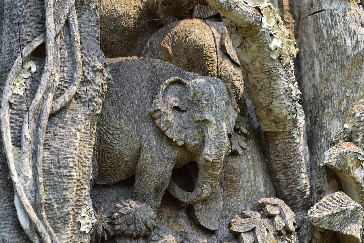 开光大象有什么讲究