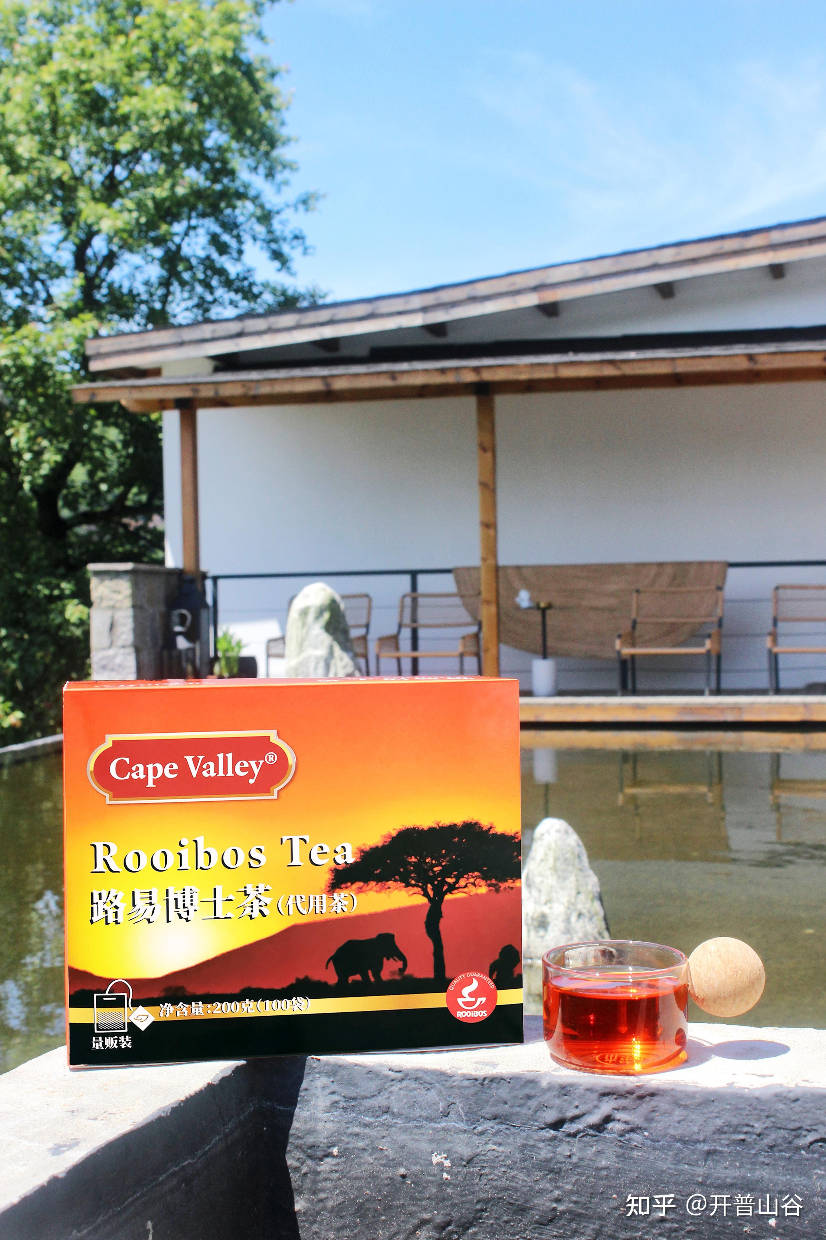 南非博士茶,冻龄女神茶,越喝越年轻! - 知乎