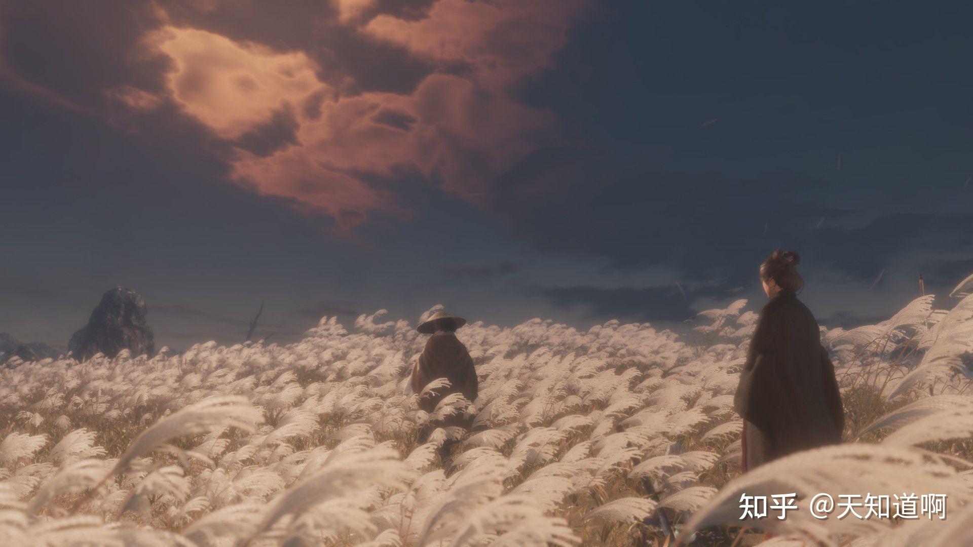 游戏《只狼:影逝二度》有没有什么适合女生的壁纸? - 知乎