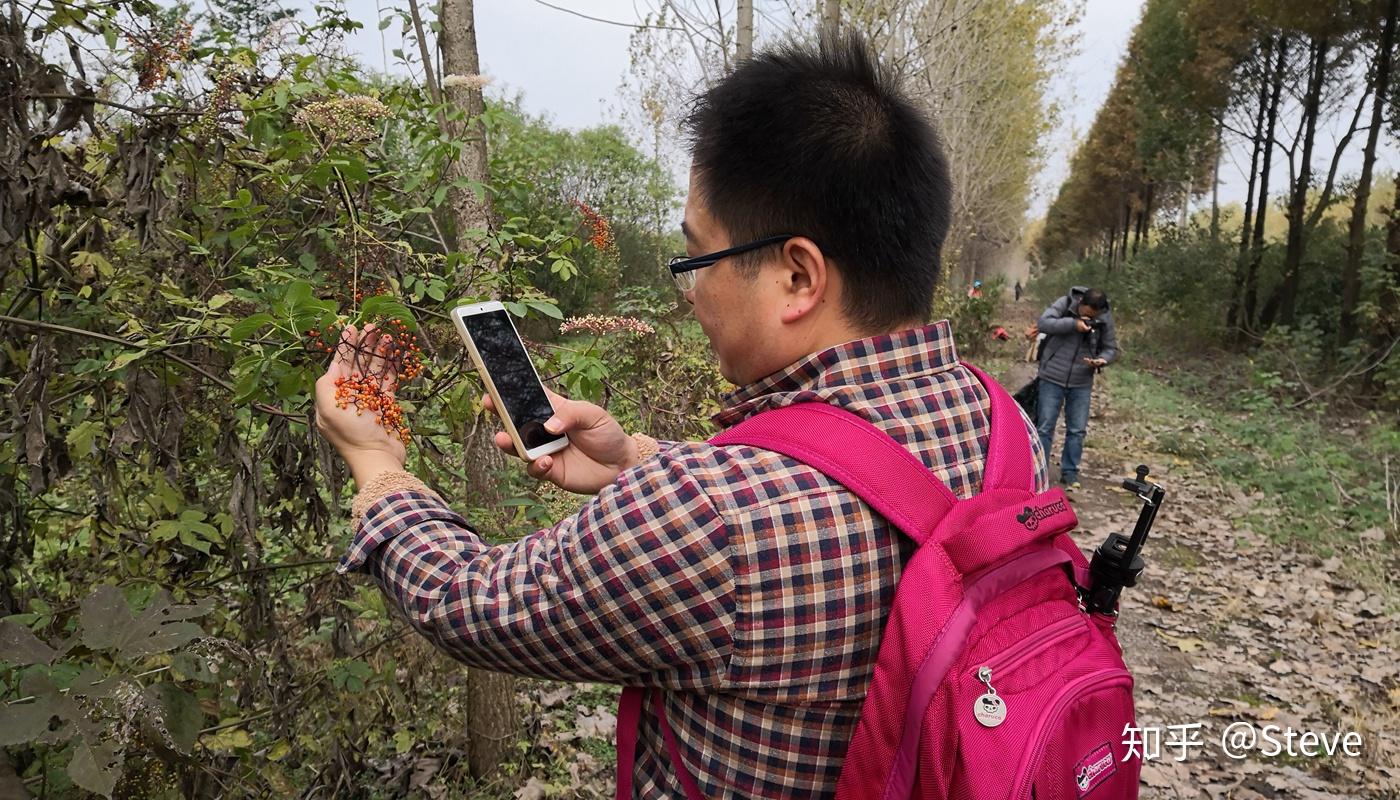 公众科学（Citizen Science） 知乎