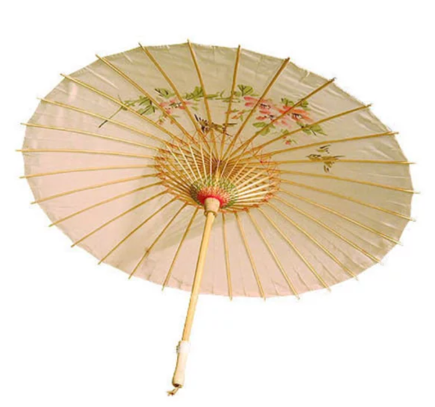 湖大往事十七纸伞倩影