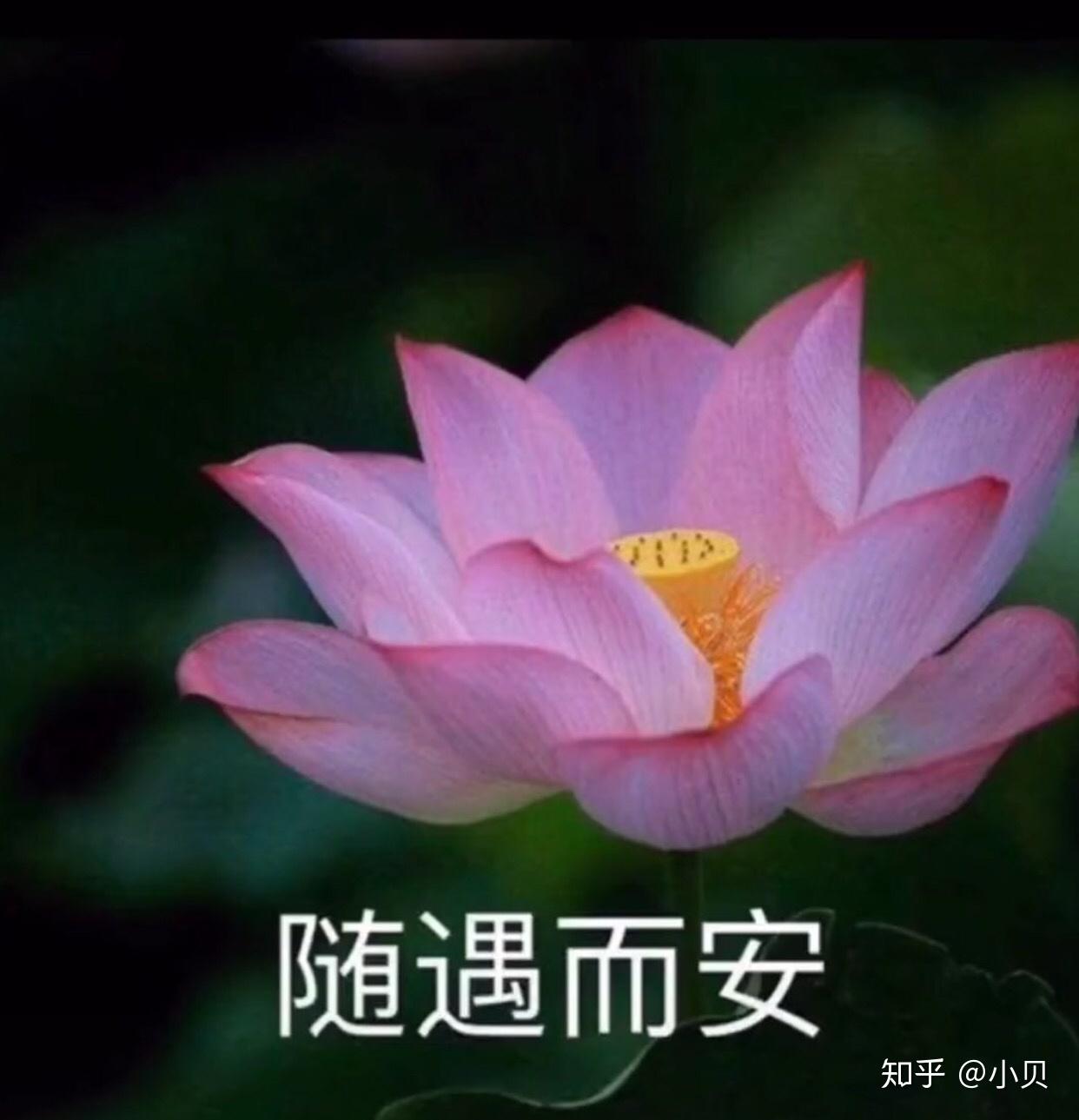 有没有很土或者特别的微信头像和签名看到第一眼就不想加的那种