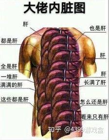 鱼谈 冷静分析 是什么让他们变成了氪金母猪 划掉 大佬 知乎