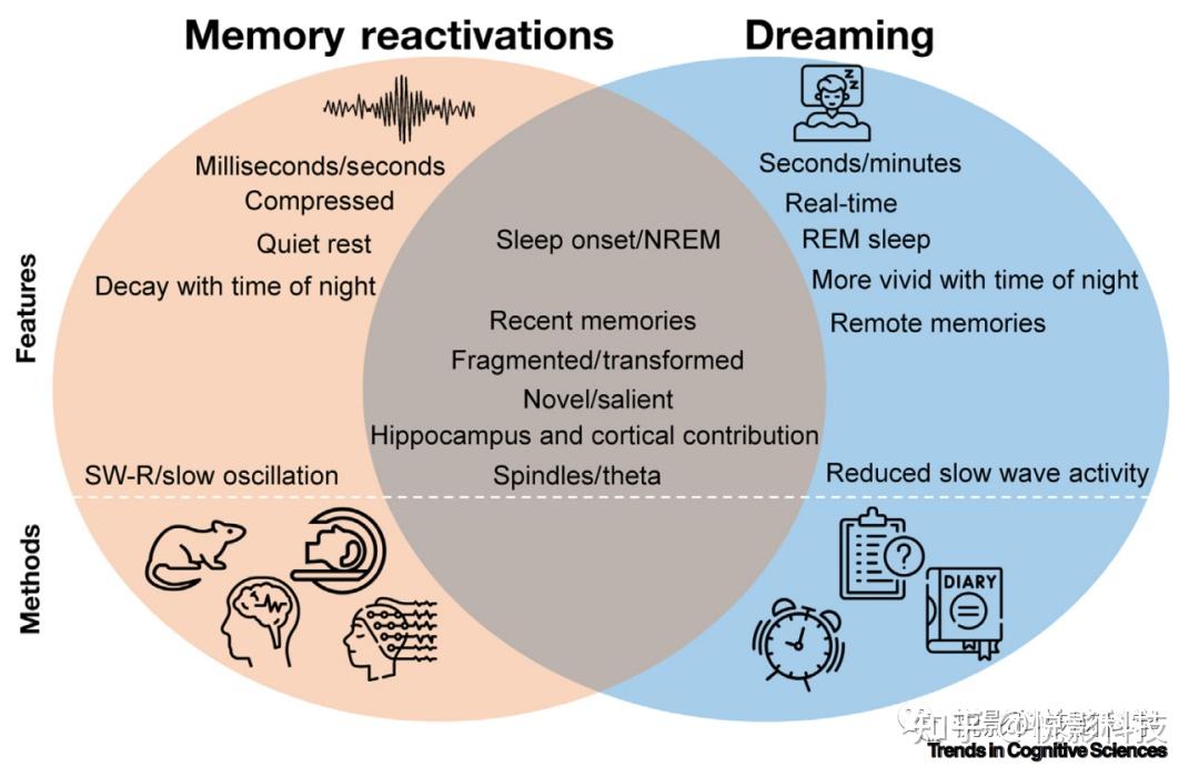 Trends in Cognitive Sciences综述：睡眠中的记忆再激活 - 知乎