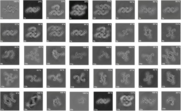 冷冻电镜与神经退行性疾病的新研究思路 | 水木视界iss.35 - 知乎