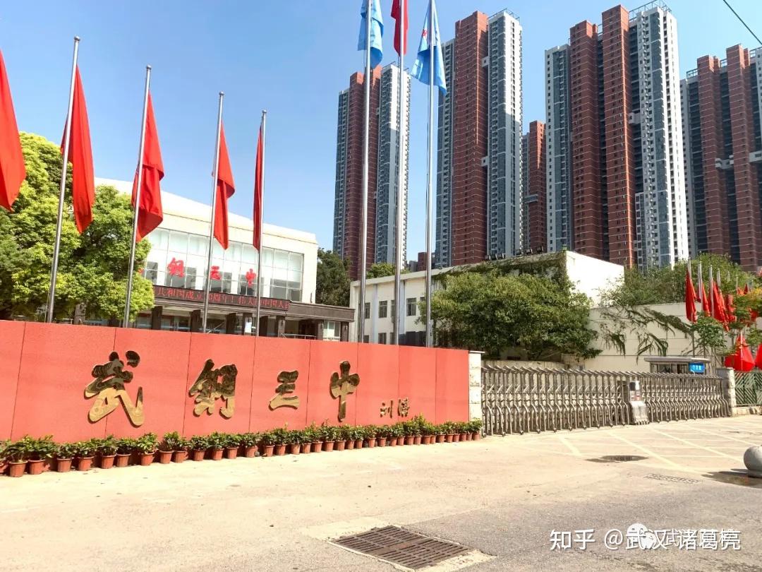 武钢三中:青山重点中小学分布图:青山区更是教育大区,从幼儿园到大学