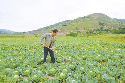 å²æ½è¥çä¼å¿æ¯ä»ä¹ï¼å²æ½è¥åå¤åè¥çåºå«ï¼