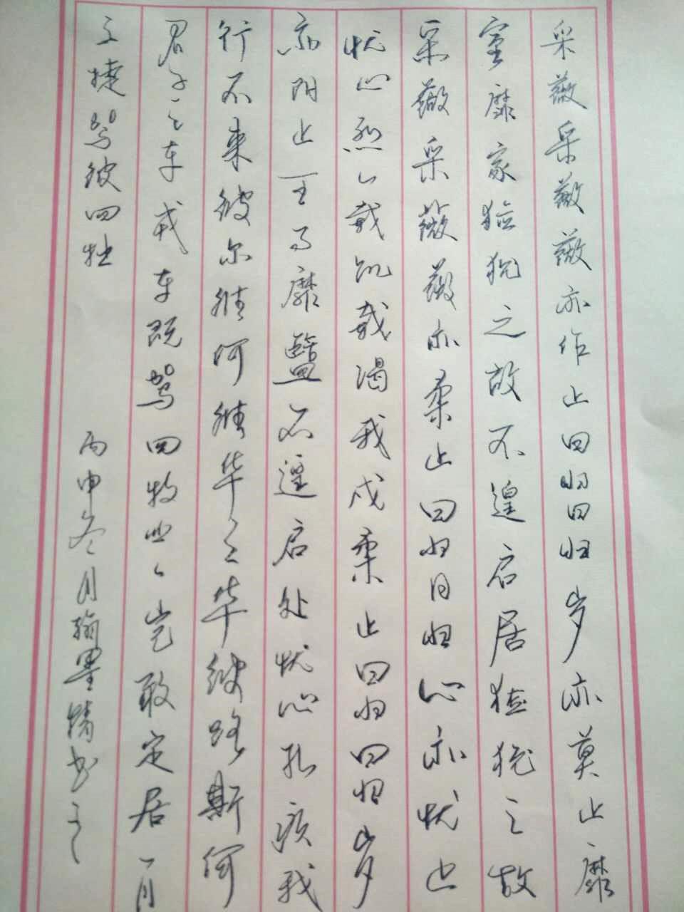 诗经小雅采薇钢笔字笔友习作欣赏