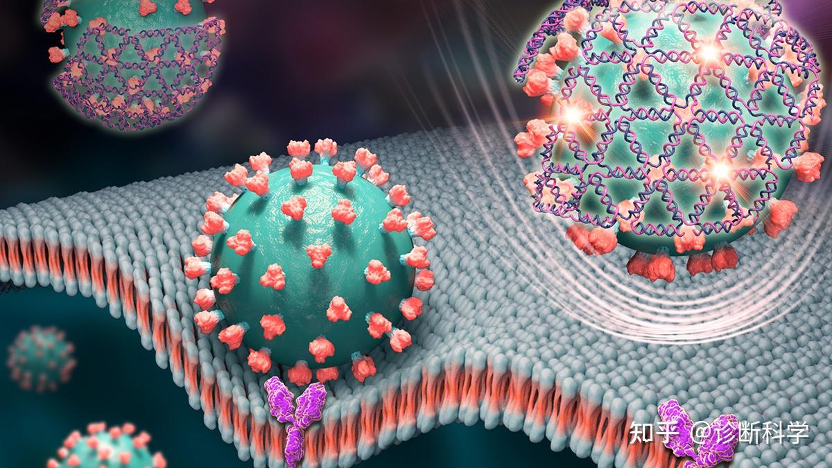 DNA POCT PCR dna-poct-pcr