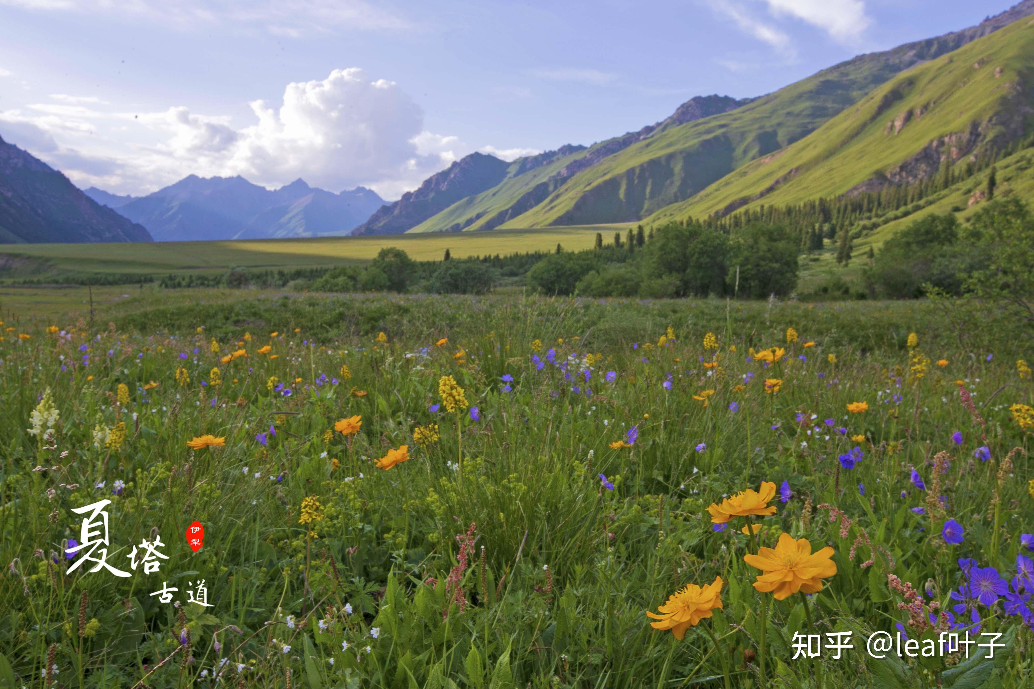 新疆夏塔古道徒步 | 前路漫漫道阻且长,总有一幅画面让你热泪盈眶(路线详述+多图预警) - 知乎