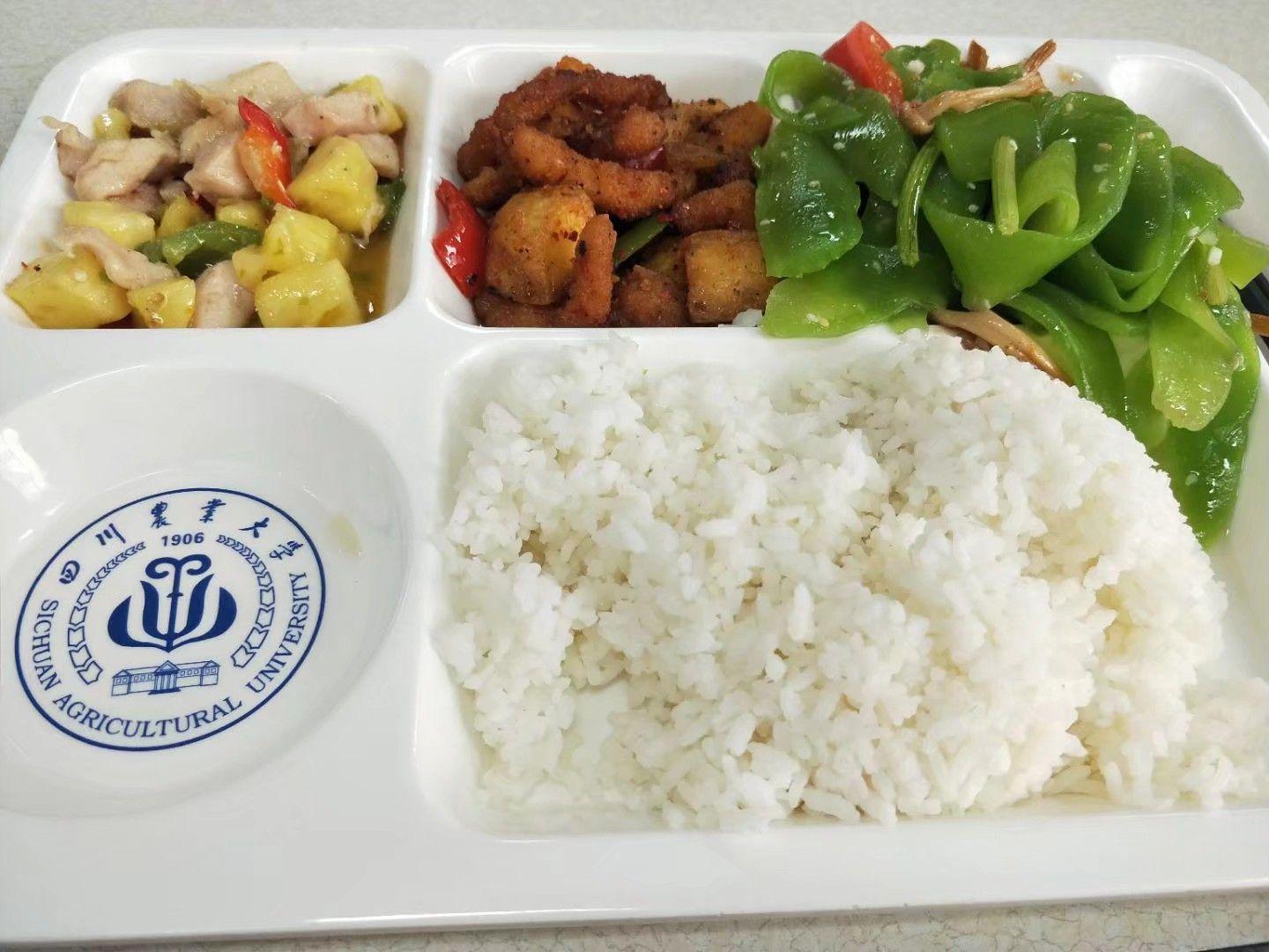在四川农业大学的网红食堂吃饭是一种什么体验?