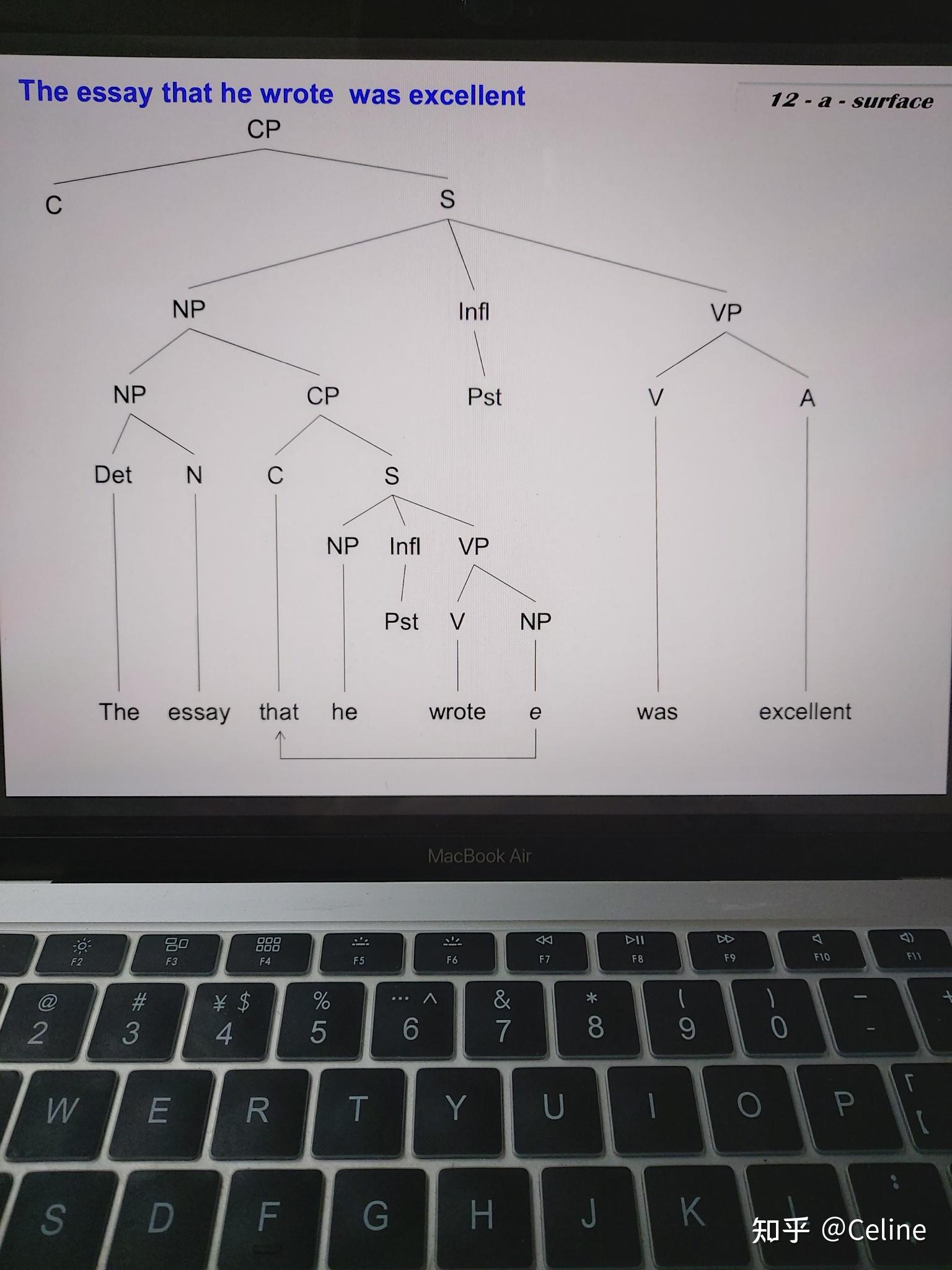 语言学树形图ppt图片
